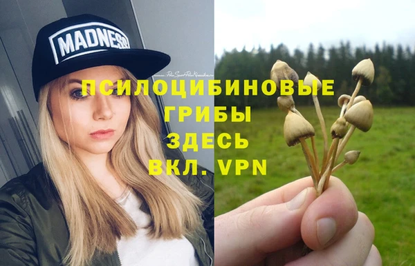 шишки Семёнов